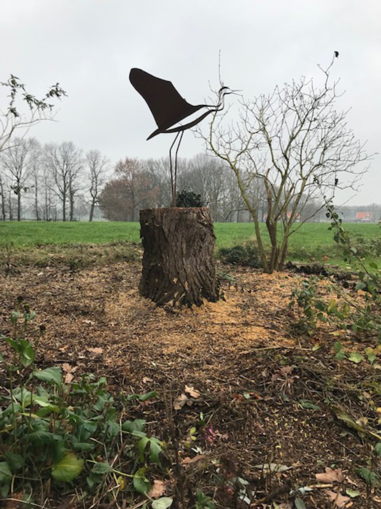 kraanvogel (staand, baltsend mannetje met gespreide vleugels)